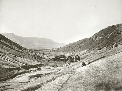 DNT-538435.jpg