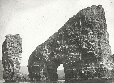 DNT-538433.jpg