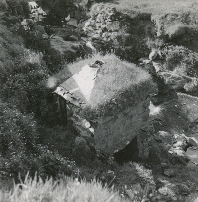 FLM-234700.jpg