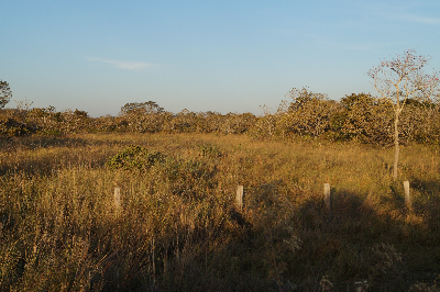 Parzinger_Picture-011b.JPG