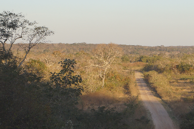 Parzinger_Picture-010.JPG