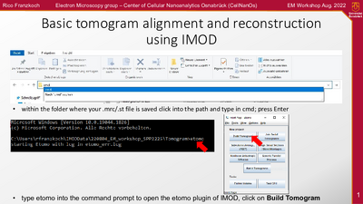 Basic_Tomogram_Alignment_and_reconstruction_guide_RF.pdf
