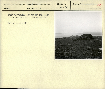 DNT-39741.jpg