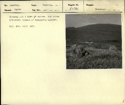 DNT-39597.jpg