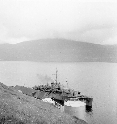 1983-2300f.jpg
