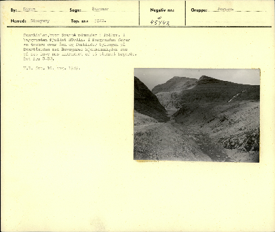 DNT-39709.jpg