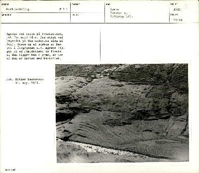 DNT-38968.jpg