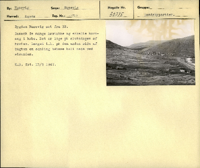 DNT-39706.jpg