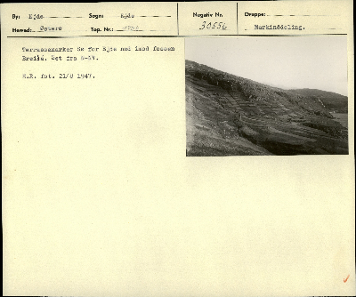 DNT-39714.jpg