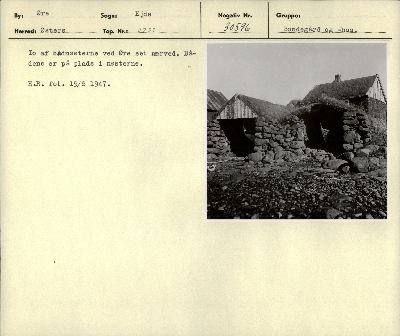 DNT-39228.jpg