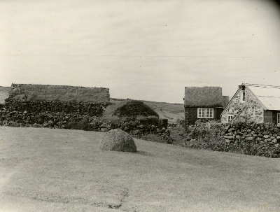 DNT-71336.jpg