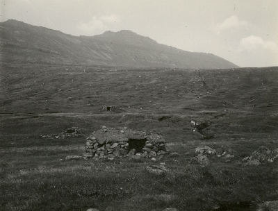 DNT-118505.jpg