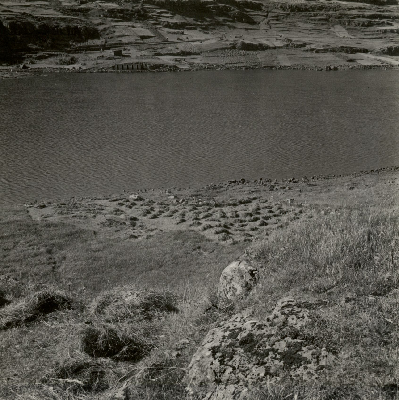 DNT-71251.jpg