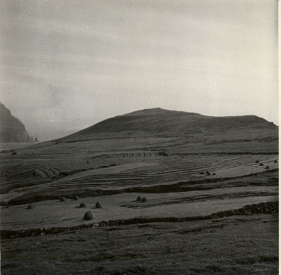 DNT-118164.jpg