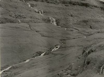 DNT-118510.jpg