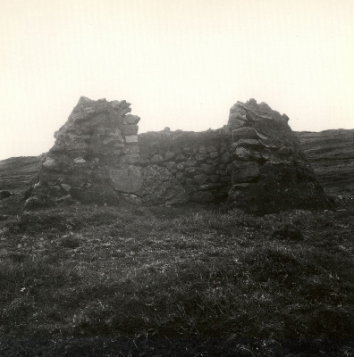 DNT-118495.jpg