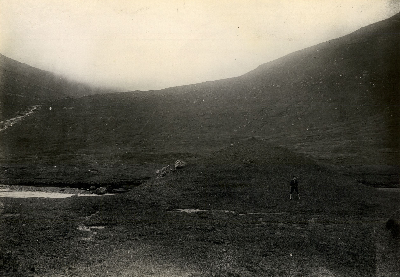 DNT-118244.jpg