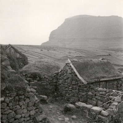 DNT-71323.jpg