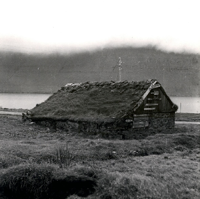 DNT-118382.jpg