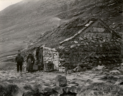 DNT-118230.jpg