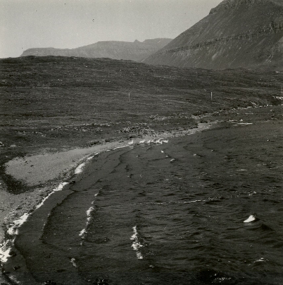 DNT-118423.jpg