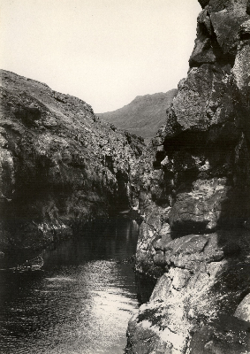 DNT-71306.jpg