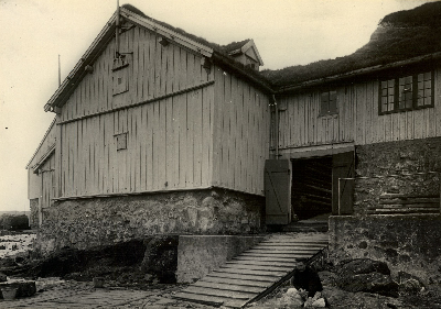 DNT-118142.jpg