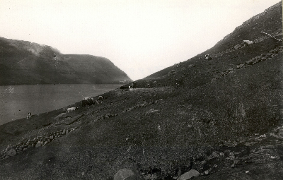 DNT-118384.jpg