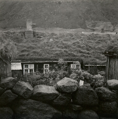 DNT-118460.jpg
