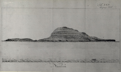 DNT-118263.jpg
