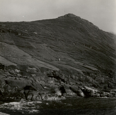 DNT-118516.jpg