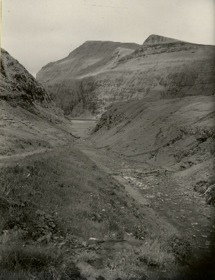 DNT-118454.jpg