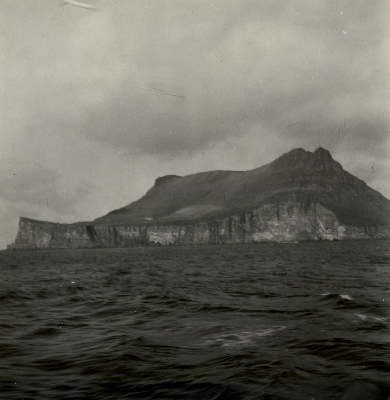 DNT-118429.jpg