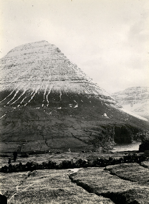 DNT-118716.jpg