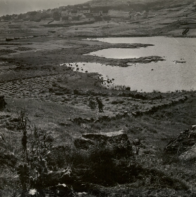DNT-118896.jpg