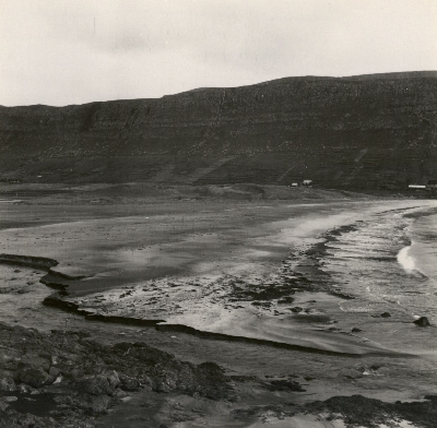 DNT-118806.jpg