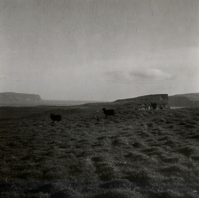 DNT-118785.jpg