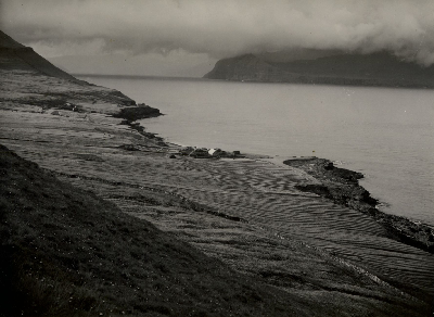 DNT-118613.jpg