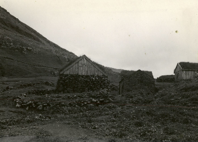 DNT-118686.jpg