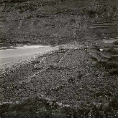 DNT-118603.jpg