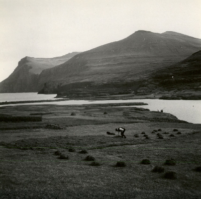 DNT-118734.jpg