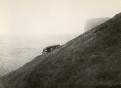 DNT-118579.jpg