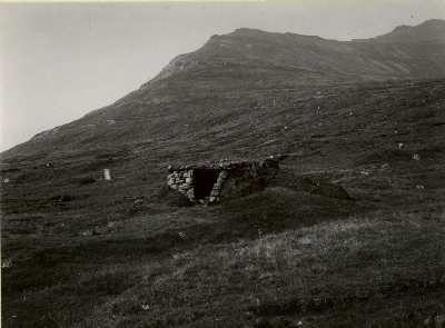 DNT-118537.jpg