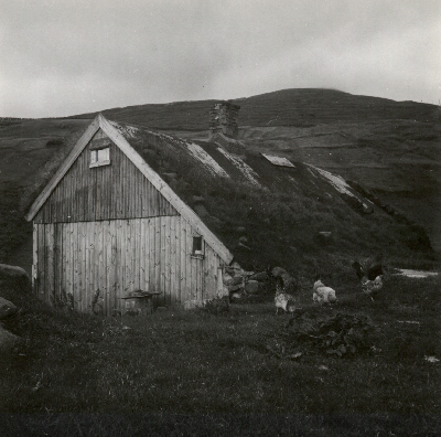 DNT-118906..jpg