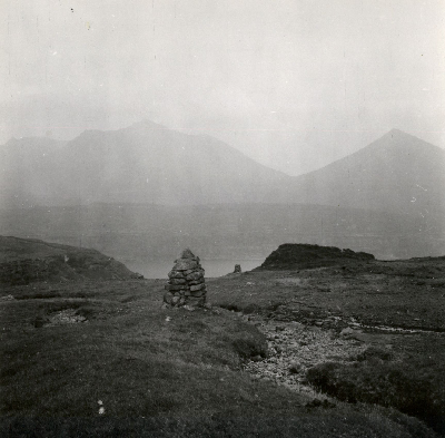 DNT-118568.jpg