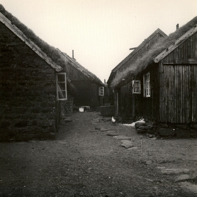 DNT-118549.jpg
