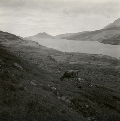 DNT-118590.jpg