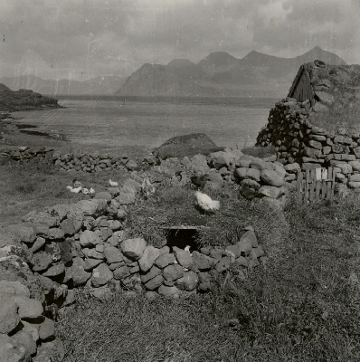 DNT-118608.jpg