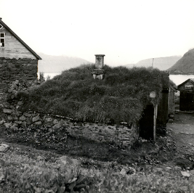 DNT-118731.jpg