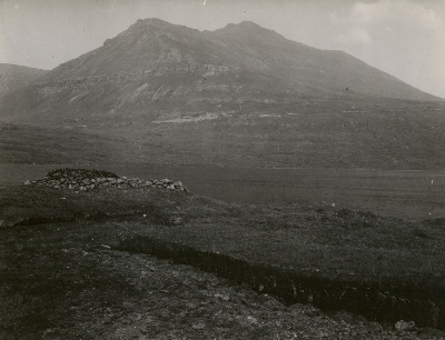 DNT-118679.jpg